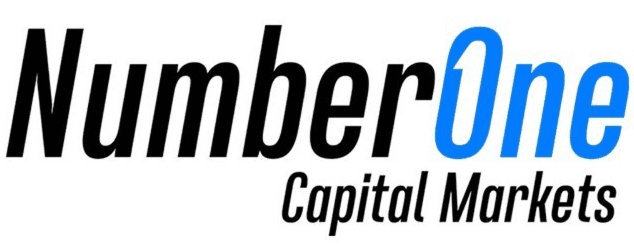 n1cm logo